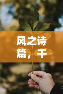 双喜经典1906硬盒价格  第1张
