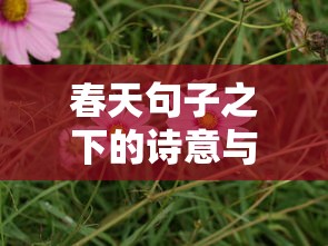 春日诗意，句子中的美好与诗意共舞  第1张