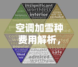 空调加雪种费用解析，价格因素与市场行情  第1张