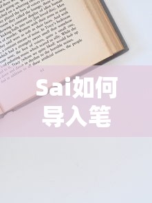 Sai笔刷导入全攻略，详细步骤与技巧  第1张