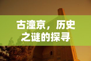暗夜猫娘多少钱  第1张