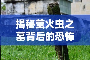 揭秘萤火虫之墓背后的恐怖真相  第1张