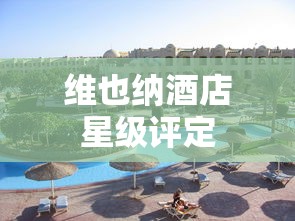 维也纳酒店星级评定，四星级豪华酒店  第1张