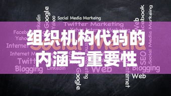 组织机构代码的内涵与重要性解析  第1张