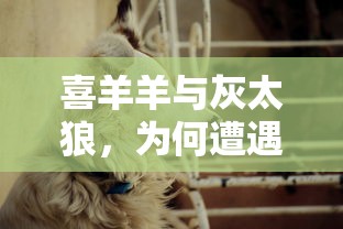 喜羊羊与灰太狼，禁播背后的原因分析  第1张