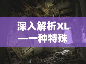深入解析XL特殊建筑梁体结构  第1张