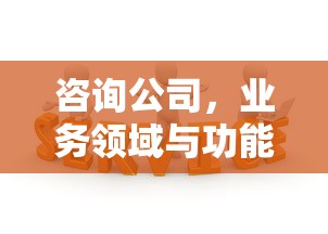 咨询公司，业务领域与功能解析  第1张