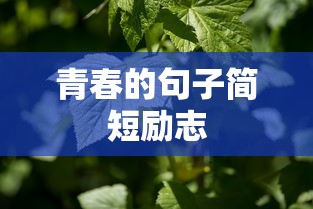 青春励志短句，勇敢追梦，不负韶华。  第1张