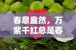 春意盎然，绽放万紫千红的美好时刻  第1张