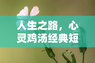 人生之路，心灵鸡汤经典短文精选  第1张