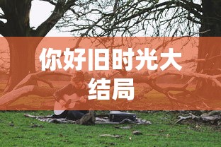 你好旧时光大结局  第1张