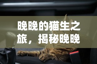 东风雷诺captur  第1张