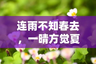 季节的诗篇，连雨不知春去，一晴方觉夏深  第1张