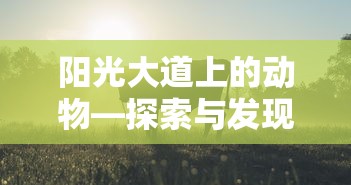 阳光大道上的动物，探索与发现  第1张