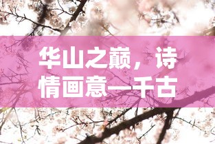 华山之巅，诗情画意——千古华山的诗意篇章  第1张