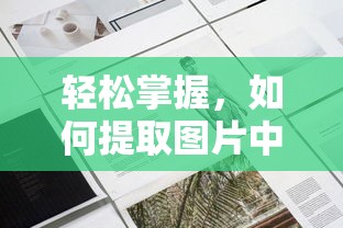轻松掌握，图片文字提取技巧  第1张