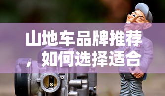 推荐与选择，适合自己的山地车品牌指南  第1张
