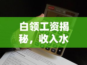 白领工资揭秘，收入水平与行业差异的深度分析  第1张
