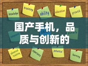 国产手机，品质与创新的典范之作  第1张