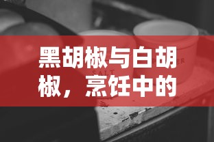 黑胡椒与白胡椒，烹饪中的双璧之别  第1张