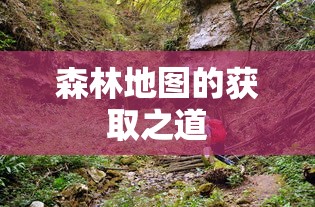 森林地图的获取之道  第1张