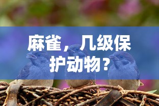 麻雀是几级保护动物？  第1张