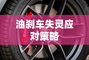 油刹车失灵应对策略  第1张