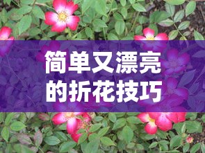 简单又漂亮的折花技巧教学  第1张