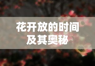 花开放的时间与奥秘探索  第1张