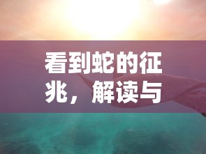 看到蛇的征兆，解读与解析  第1张