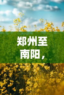骨折跳伤模拟器  第1张