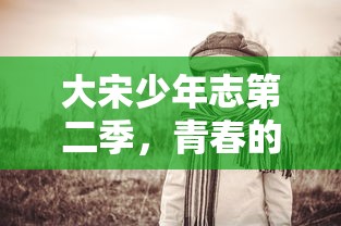 大宋少年志第二季，青春延续与历史再探  第1张