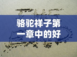 骆驼祥子第一章好词好句赏析标题，，骆驼祥子第一章的词句之美赏析  第1张
