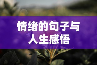 情绪的句子与人生感悟，情感与生命的交织之旅  第1张