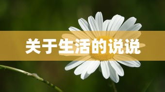 火影忍者ol手游攻略2024  第1张
