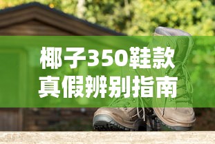 椰子350鞋款真假辨别指南  第1张