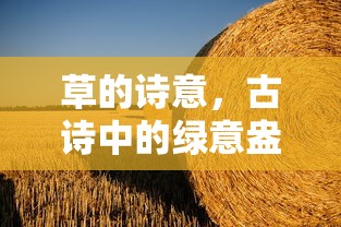古诗中的绿意盎然，草的诗意  第1张