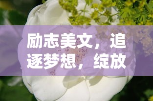 追逐梦想，绽放人生——励志美文之旅  第1张
