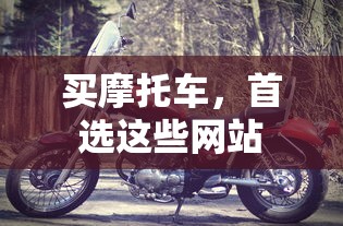 首选网站购买摩托车推荐  第1张