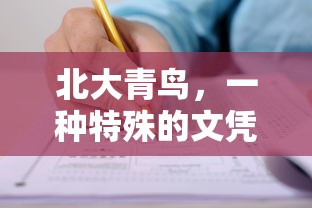 北大青鸟，特殊文凭与教育之路的探索  第1张