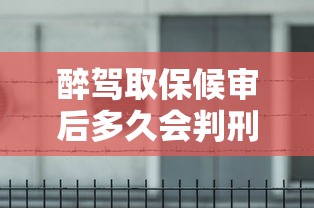 醉驾取保候审后判刑时间分析  第1张