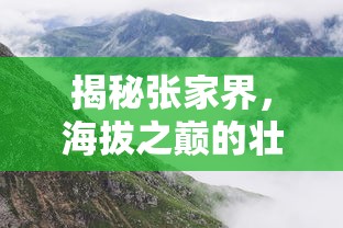 陶红和陶虹是什么关系  第1张