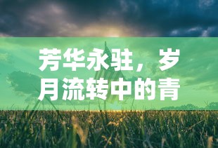 芳华永驻，岁月流转中的青春之美  第1张
