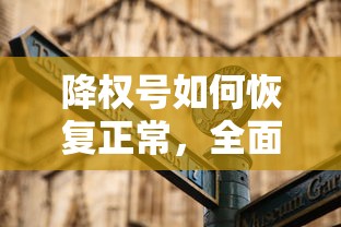 降权号恢复方法，全面解析与操作指南  第1张