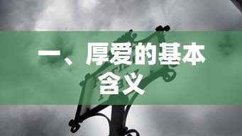 厚爱的基本含义  第1张