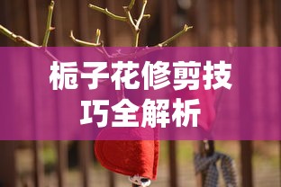 栀子花修剪技巧全解析  第1张