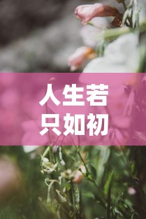 人生初见，初识与永恒的探索之旅  第1张