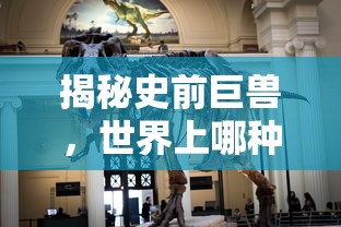 何国荣个人资料  第1张