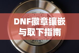 DNF徽章镶嵌与取下完全指南  第1张