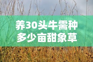 养30头牛所需种植的甜象草面积  第1张